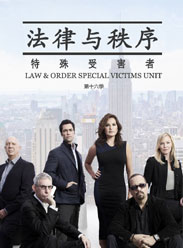 法律与秩序特殊受害者第十六季第17集