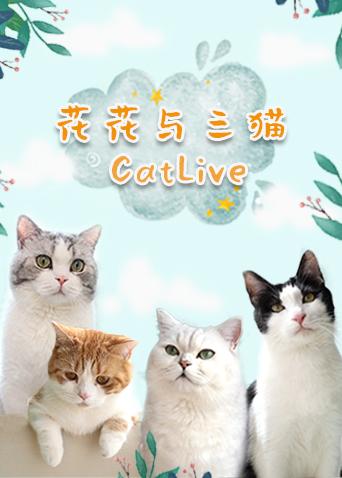 花花与三猫catlive20190704期
