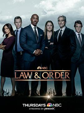 法律与秩序第二十二季第20集