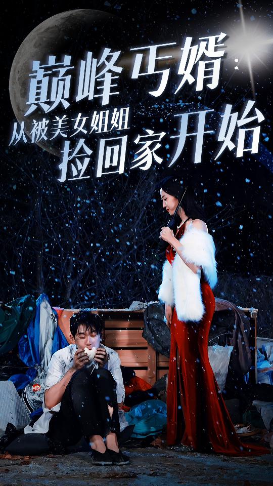 巅峰丐婿 从被美女姐姐捡回家开始全集 (上)(大结局)