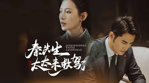 秦先生，太太来救驾了全集 (上)(大结局)