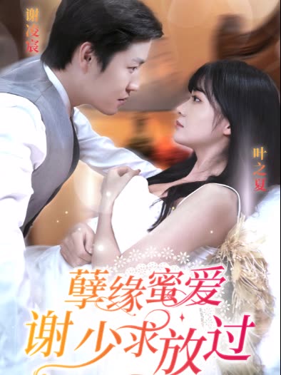 孽缘蜜爱谢少求放过全集(大结局)