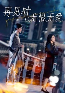 再见时已无恨无爱全集(大结局)