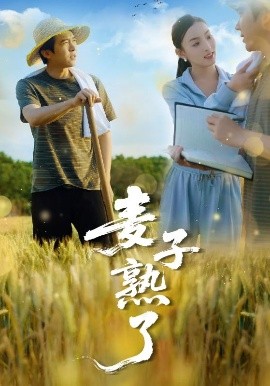 麦子熟了(全集)