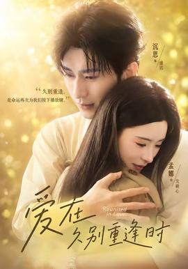爱在久别重逢时(全集)